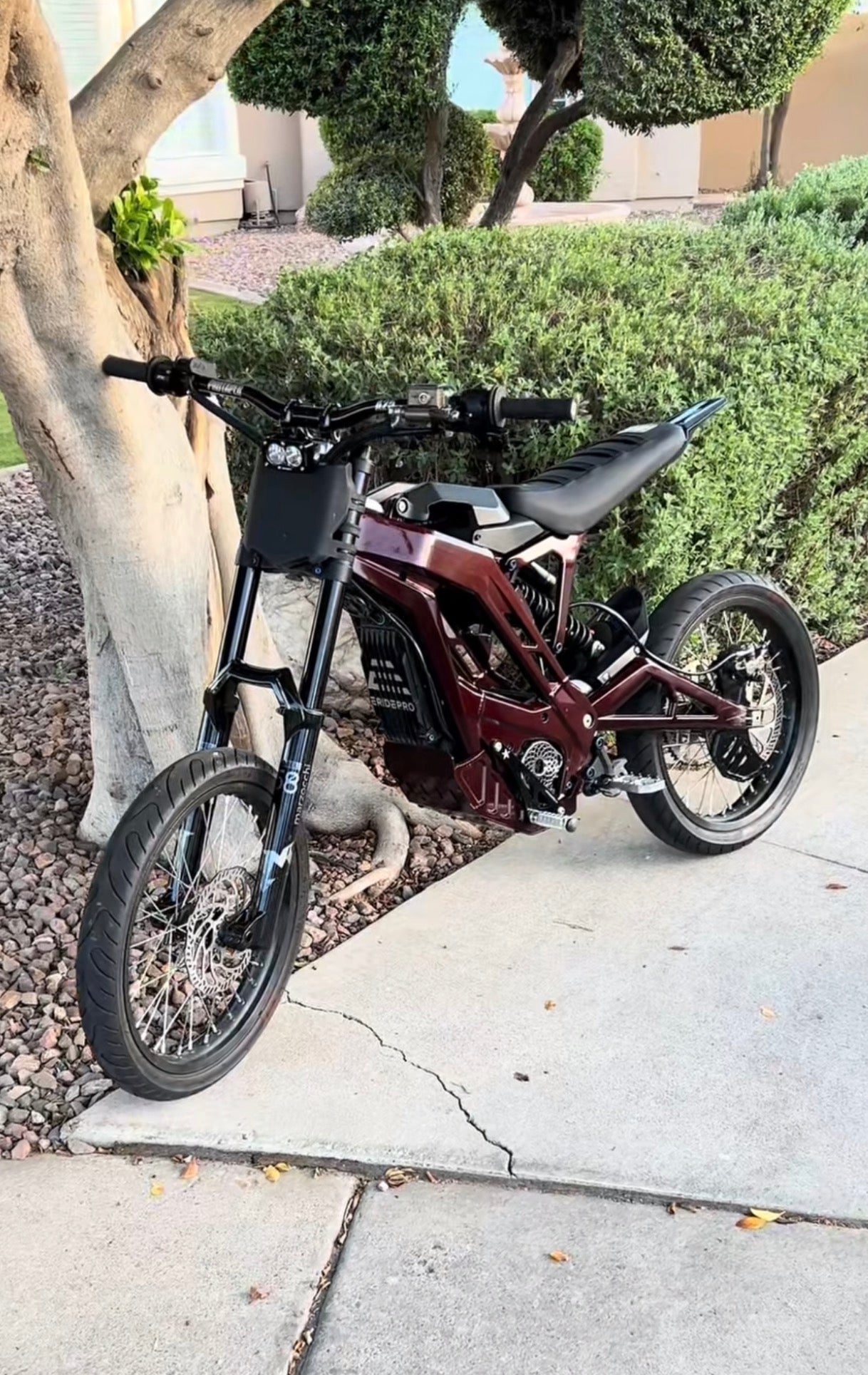 Eride Pro